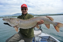 brochet,doubs,pêche,poissons