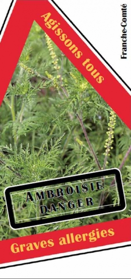 Ambroisie-1-450.jpg