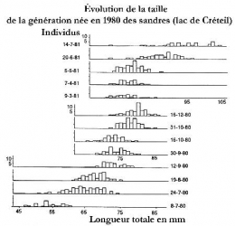 lacs_sandre_créteil_1-1.jpg