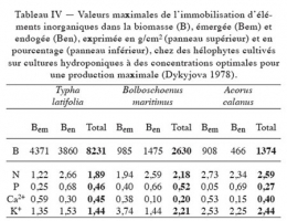 limnologie,macrophytes lacustres,écosystèmes lacustres,fonctionnement