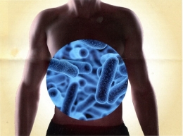1-microbiote-intestinal-450.jpg