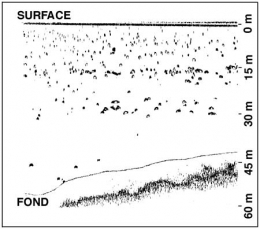 Figure3_echosondage-Leman-450.jpg