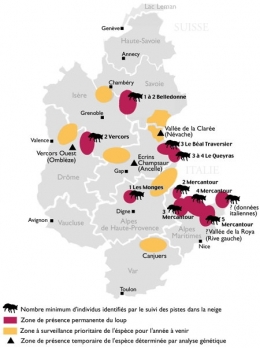 loup,jura,prédateurs