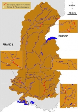 Répartition_2009-1.jpg