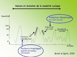 campagnol terrestre modalité cyclique1.jpg