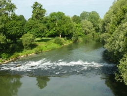 pollution,métaux lourds,franche-comté,université de franche-comté,chronoenvironnement