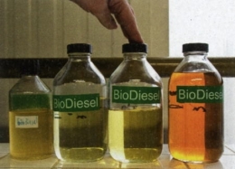 Biodiesel3-1.jpg