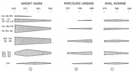 Fig.-3 Poissons-Besançon-450.jpg