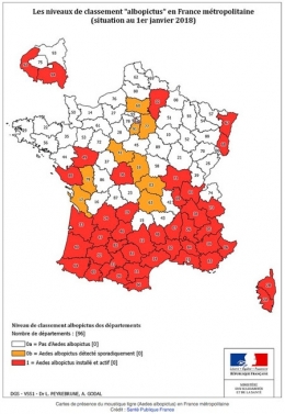 Aedes-albopictus-en-janvier-2018-450.jpg