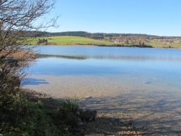 lacs,jura,limnologie,poissons,lac de saint-point,lac de remoray,lac de chalain,lac d'ilay,lac de la motte,lac du petit-maclu,lac du grand-maclu,lac de bonlieu,lacs de clairvaux les lacs