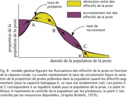 prédation-loup-fig8-1.jpg