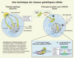 crispr,crispr-ca9