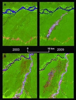 environnement,pollution,guyane,orpaillage