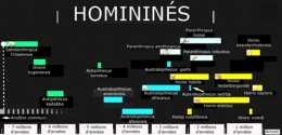 australopithecus anamensis,ancêtre de l'homme,michael greshko,national geographic