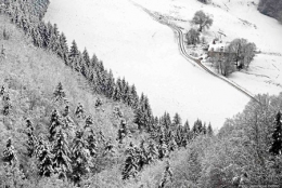 dominique delfino,photographe naturaliste et animalier,côte de maîche,le fondereau,hiver,neige