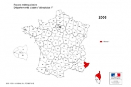 moustique-tigre,aedes albopictus,dengue,chikungunya,zika,hugo jalinière,sciences et avenir