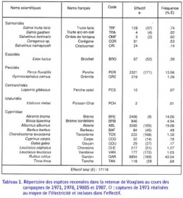 poissons lacustres,échantillonnage,lac de vouglans,retenue de vouglans,échantillonnage ichtyologique,comparaison d'échantillons,retenue de barrage