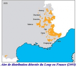 loup,jura,prédateurs