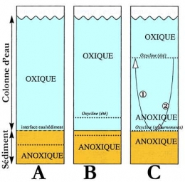 4.lacs_stratification_oxygène-1.jpg