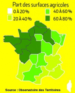 Pesticides_Clé-n°1-450.jpg