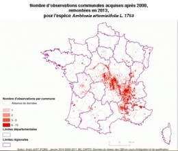 ambroisie,ambroisie en franche-comté