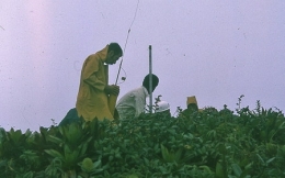 Guadeloupe_Soufrière_Carmichaël_1977_060-1.jpg