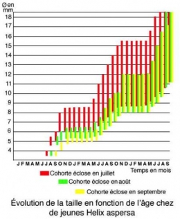 Fig_A_courbe_taille_âge.jpg