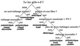 2.lacs-classification-1.jpg