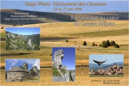 Delfino--BROCHURE-CEVENNES-450.jpg