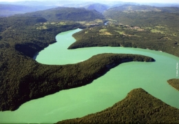 poissons lacustres,échantillonnage,lac de vouglans,retenue de vouglans