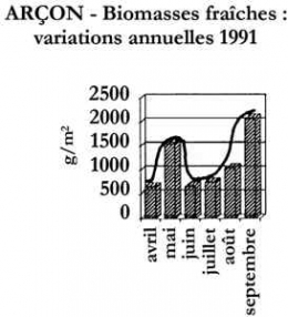 proliférations_algales_110-1.jpg