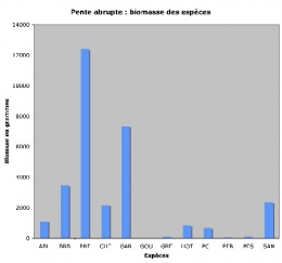 Pente abrupte-poids_d+m1.jpg