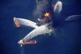 marée noire,dispersants,deepwater horizon,coredit 9500,golfe du mexique,bp,british petroleum,plateforme pétrolière,pétrole offshore,floride,louisiane,bayous,oiseaux marins