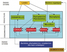 fig 59-1.jpg