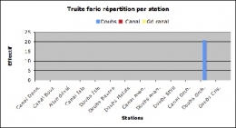 Truite-stations-effectif-1.jpg