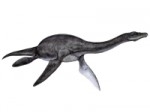 Plesiosaure_logo.jpg