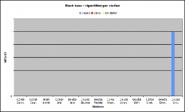 Blackbass_station_effectif-1.jpg