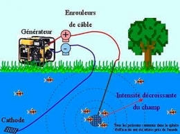 pêche électrique_01-1.jpg