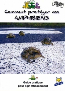 Amphibiens_1-450.jpg