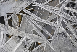 dominique delfino,dentelle de glace,allan