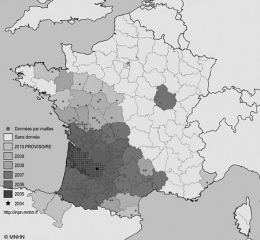 espèces invasives,frelon asiatique,abeilles,piègeage