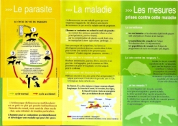 santé,parasites,plathelminthes,ténia échinocoque,échinoccose alvéolaire,franche-comté,campagnol,renard,chien,chat