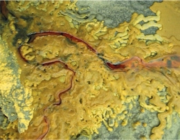 kawah ijen,indonésie,java,volcanologie,ceinture de feu du pacifique,soufre,exo-ploitation du soufre