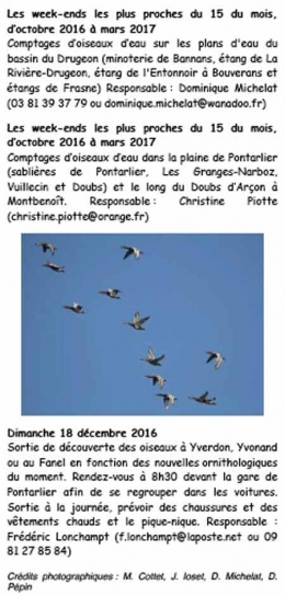 Calendrier-APVD-2016-450_06.jpg
