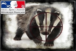 Chasse-au-Blaireau.jpg