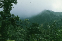 Guadeloupe_Soufrière_Carmichaël_1977_070-1.jpg