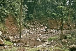 Guadeloupe_ Carbet_1977_049--11.jpg