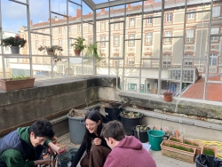 Serre du secteur SVT 2