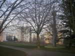 IMGP0041.JPG