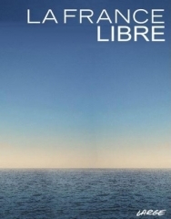 sarkozy-affiche-france-forte-sarkostique-6.jpg